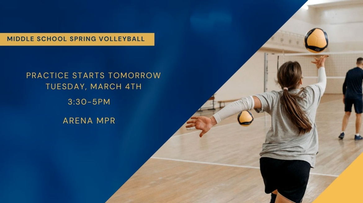 spring volleyball