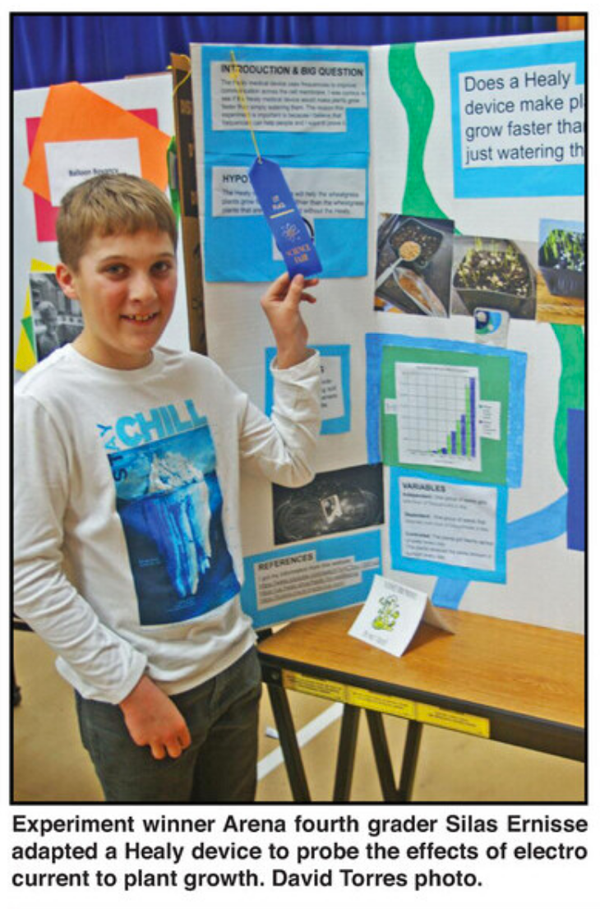 AES Science Fair 2023