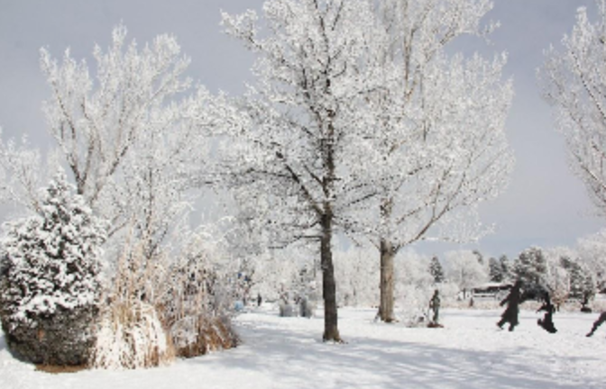 AES winter celebration